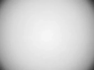 Canon 300mm f4 L Canon 300mm f4 L