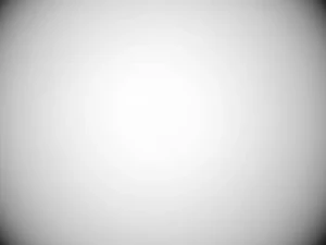 Canon 70-300mm L @135mm Canon 70-300mm L @135mm